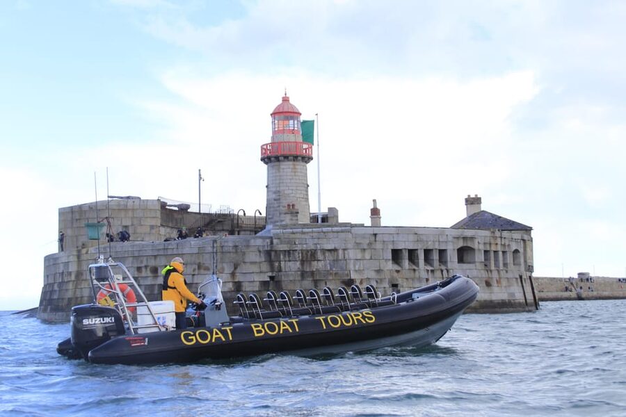 Dublin: History and Wildlife Boat Tour with Live Commentary - Watching seals, seabirds, and possible dolphins