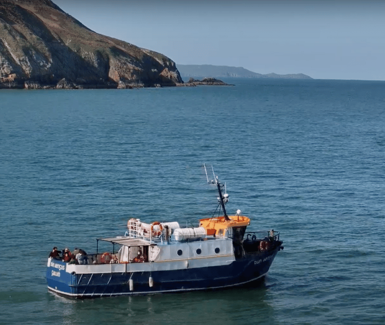 Dublin: Howth Cliffs and Lighthouse Boat Tour - Leaving Howth Harbour for the cliffs