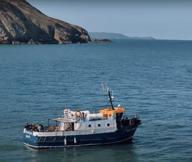 Dublin: Howth Cliffs and Lighthouse Boat Tour - Is $28 a fair price?