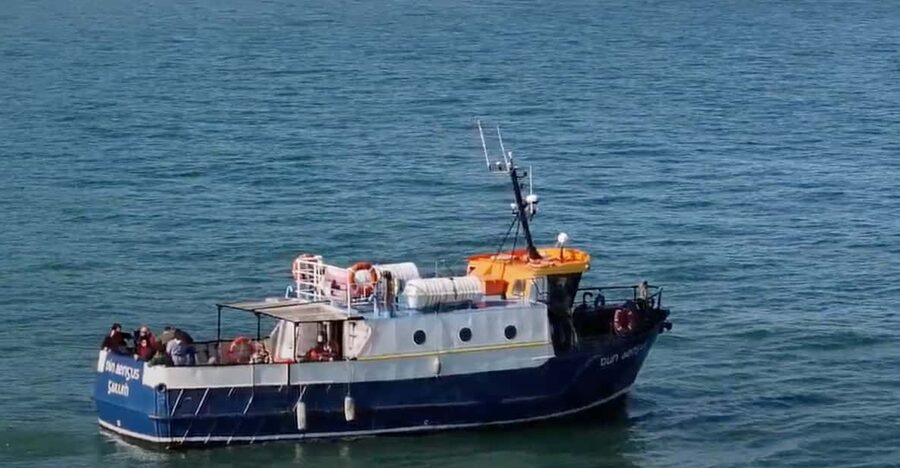 Dublin: Howth Cliffs and Lighthouse Boat Tour - Finding the West Pier meeting point