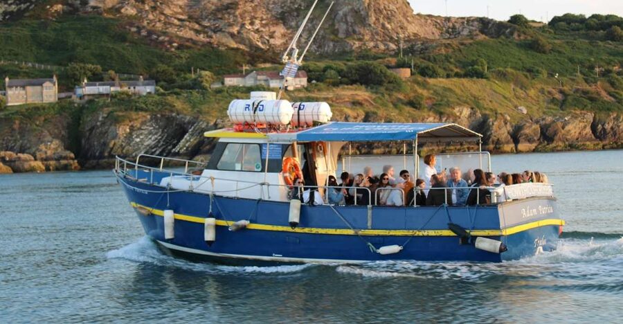 Dublin: Howth Cliffs and Lighthouse Cruise - Seals, seabirds, puffins, and the occasional dolphin