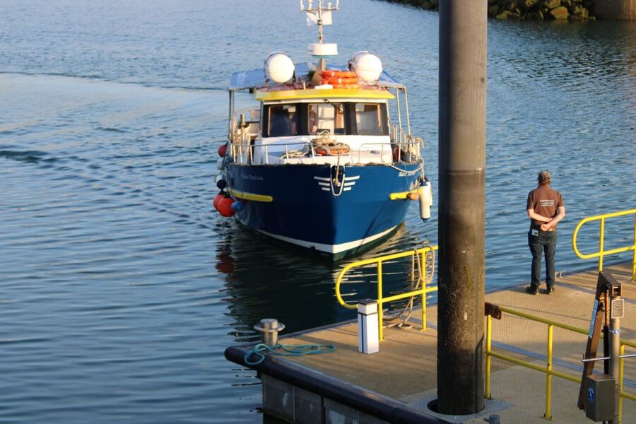 Dublin: Howth Cliffs and Lighthouse Cruise - Finding the boat at Howth West Pier