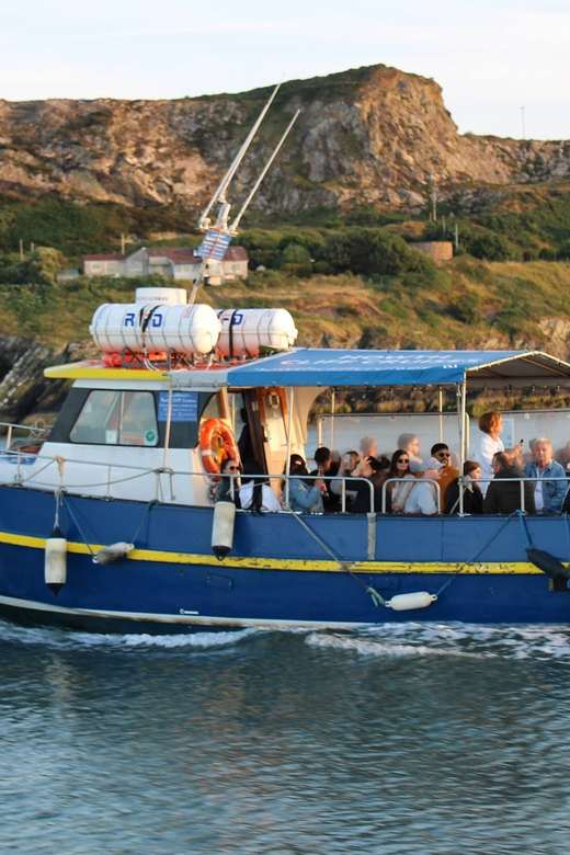 Dublin: Howth Coast and Ireland's Eye Boat Tour - Why this short cruise works so well