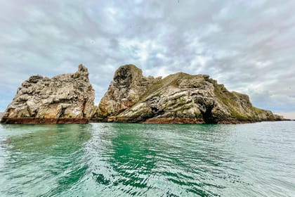 Dublin: Howth Coastal Boat Tour - Who will enjoy this Howth boat trip?