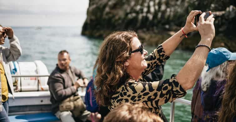 Dublin: Howth Coastal Boat Tour - Crossing Dublin Bay toward Ireland’s Eye