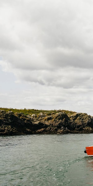 Dublin: Howth Coastal Boat Tour - Wildlife sightings, with nature in charge