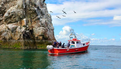 Dublin: Howth Coastal Boat Tour - A small boat with a more personal feel