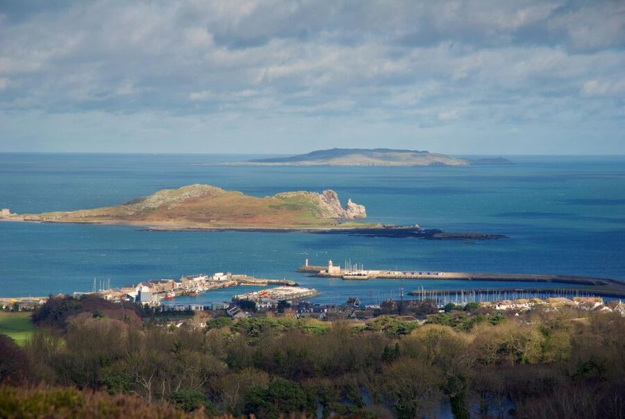 Dublin: Howth Coastal Hiking Tour - Climbing to the Ben of Howth