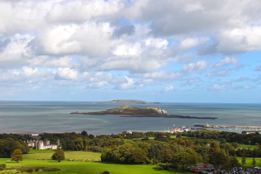 Dublin: Howth Coastal Hiking Tour - Heathlands, wildflowers, and quieter paths
