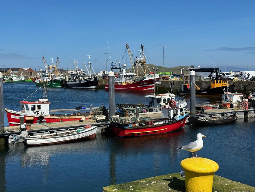Dublin: Howth Coastal Hiking Tour - The Baily Lighthouse and the cliff path