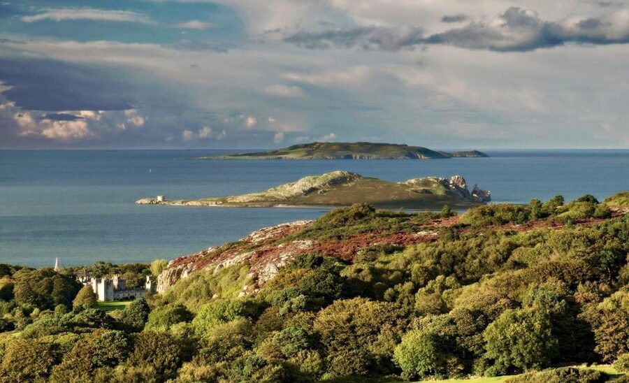 Dublin: Howth Coastal Hiking Tour - Guides who make the walk personal