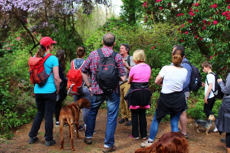 Dublin: Howth Coastal Hiking Tour - How difficult is the three-hour hike?