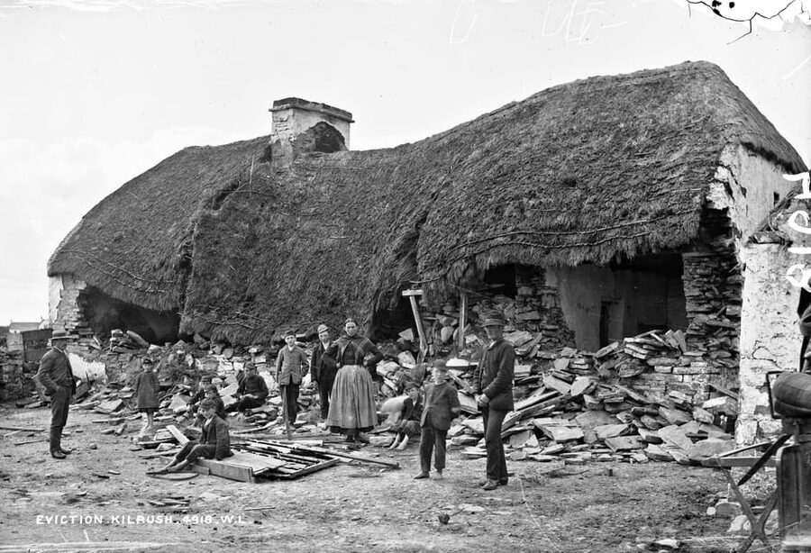 Dublin: Irish Famine Exhibition Entry Ticket - Workhouses, Evictions, Coffin Ships, And Disease