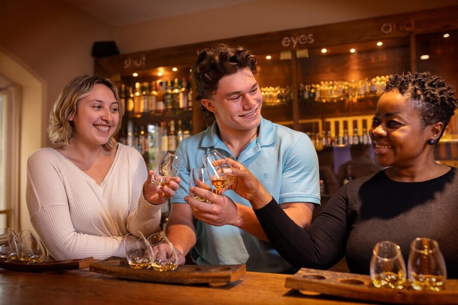 Dublin: Irish Whiskey Museum Tour and Whiskey Tasting - What the historic memorabilia adds