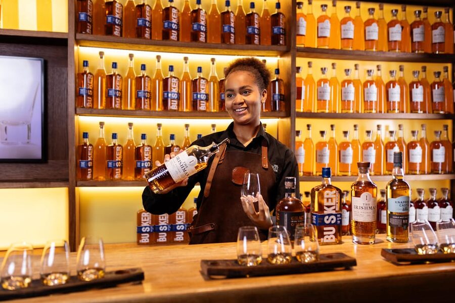 Dublin: Irish Whiskey Museum Tour and Whiskey Tasting - Who should book this experience?