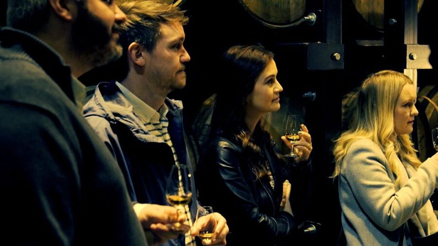 Dublin: Jameson and Guinness Private Tour with Transfers - What the private guide adds