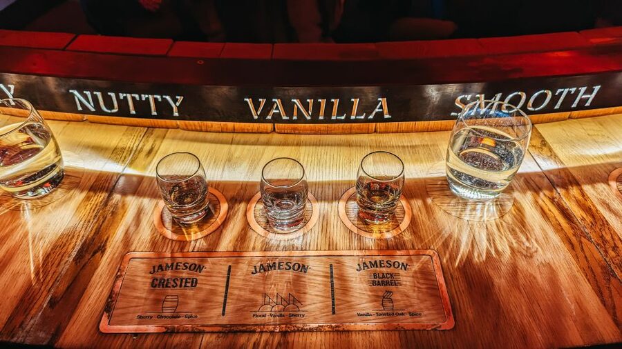 Dublin: Jameson Whiskey Distillery Tour with Tastings - Is $35 a fair price?