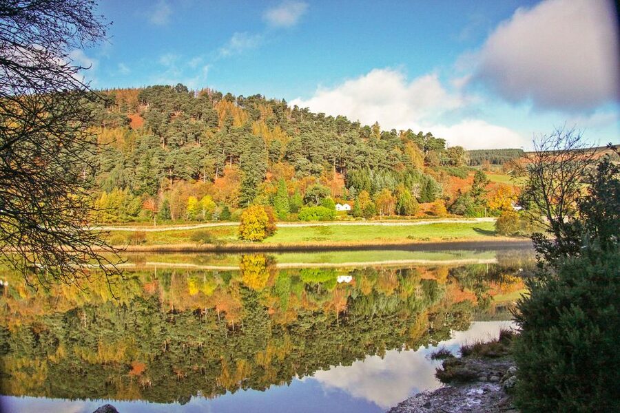 Dublin: Kilkenny, Wicklow & Glendalough Tour & Sheepdog Show - Two hours to make your own Kilkenny visit
