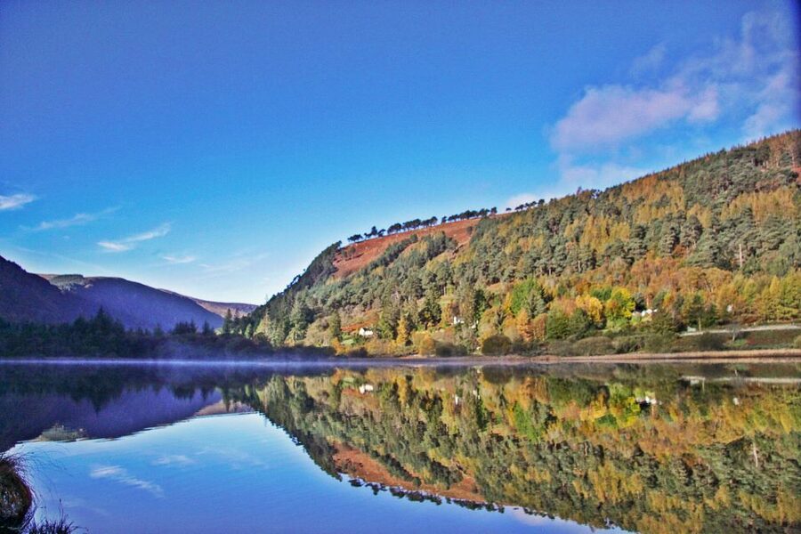 Dublin: Kilkenny, Wicklow & Glendalough Tour & Sheepdog Show - The guide and driver can shape the day