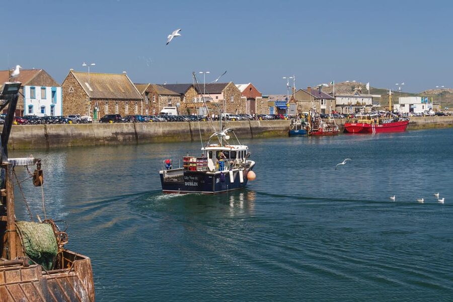 DUBLIN: Malahide castle and Howth MULTILINGUAL full day tour - Who will enjoy this day most