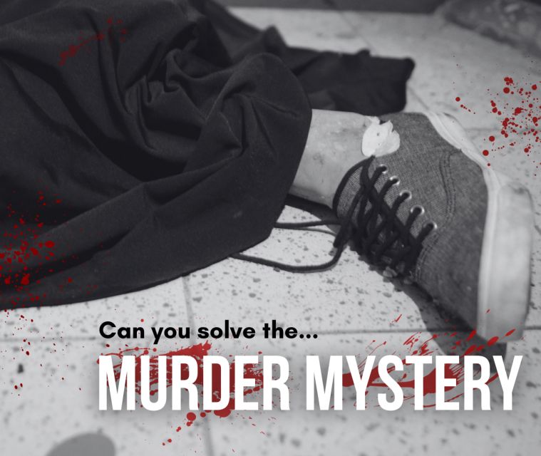 Dublin: Murder Mystery at the National Wax Museum - Working through the National Wax Museum Plus