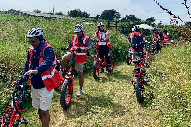 Dublin Panoramic e-Bike Tour with Howth Adventures - What the guides add to the ride