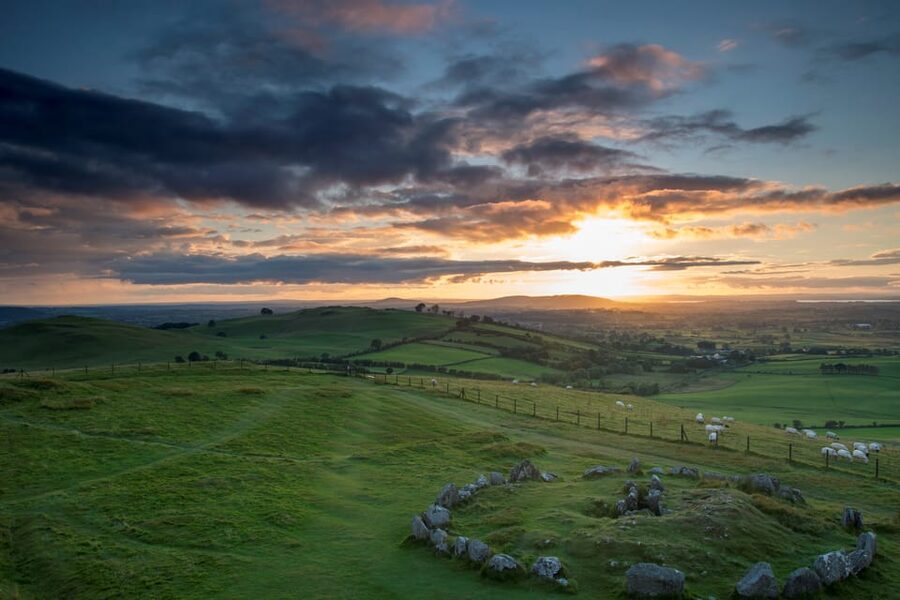 Dublin: Private Boyne Valley and Trim Castle Day Tour - What the $670 group price really means