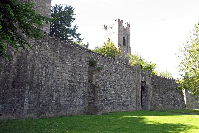Dublin Private Medieval Walking Tour - St. Audoen’s, Cook Street, and the old walls