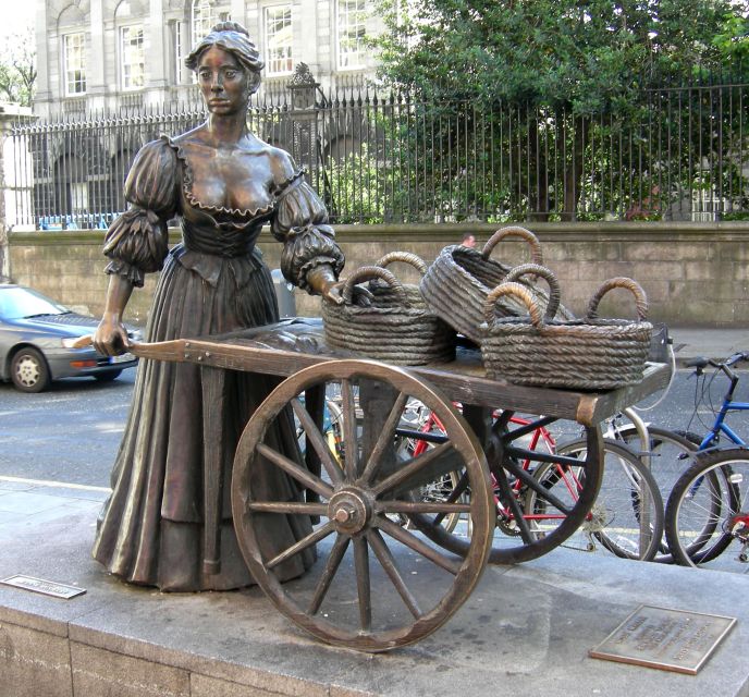 Dublin: Private Tour of City Monuments in Spanish - What the guide service is like