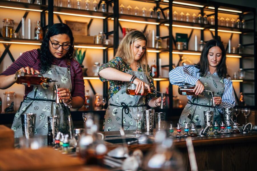 Dublin: Roe and Co Distillery Cocktail Workshop Experience - Who should book this experience?