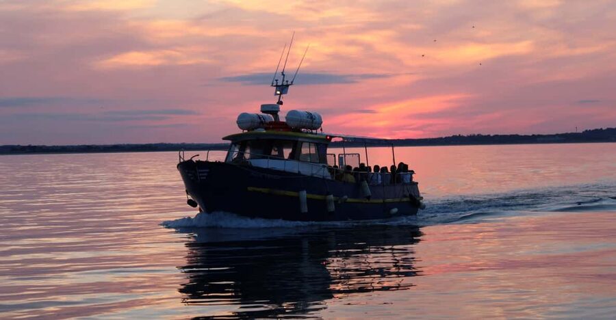 Dublin: Sunset Cruise in Howth - Ireland’s Eye, seabirds, and seals