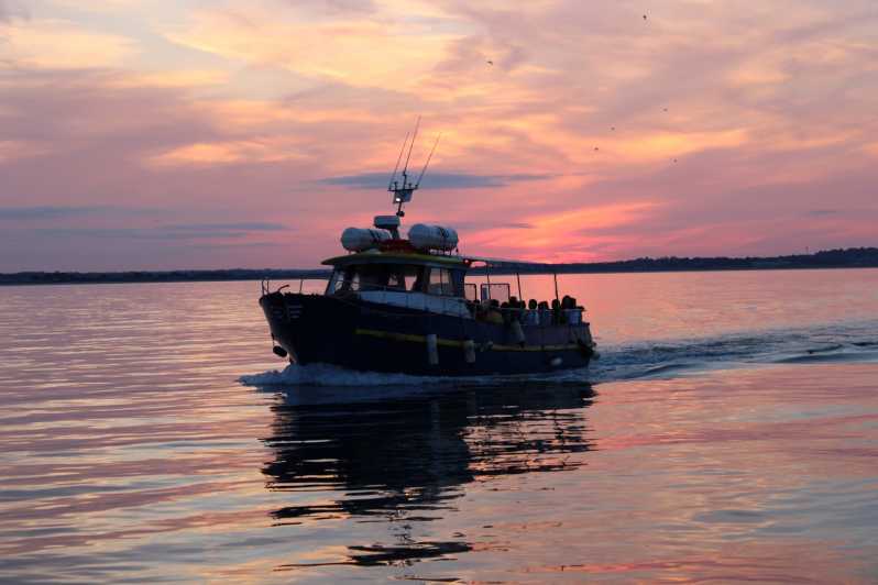 Dublin: Sunset Cruise in Howth - How the boat ride unfolds