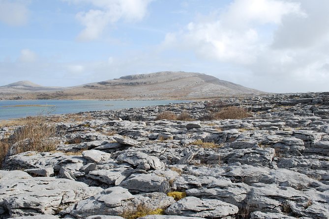Dublin to Cliffs of Moher, Burren, Wild Atlantic Way, Galway Tour - Ninety minutes in Galway, the City of Tribes