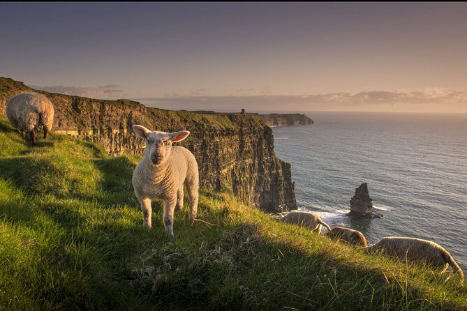 Dublin to Cliffs of Moher, Ennis Town & Bunratty Castle Day Tour - What the tour includes, and what it does not