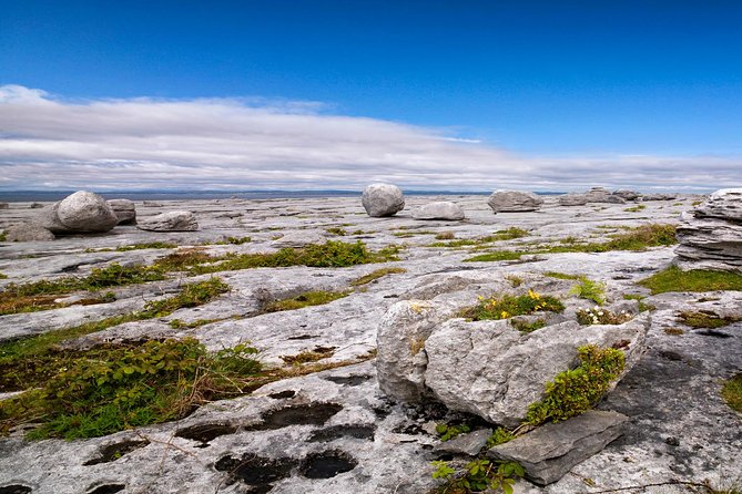 Dublin to Cliffs of Moher, including Wild Atlantic Way and Galway - Key details before you book