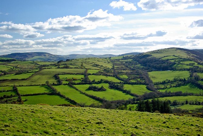Dublin to Kilkenny Castle and House Of Waterford Crystal Day Tour - Kilkenny at 9:00: castle views and a quick taste of the city