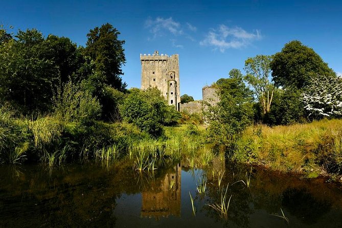 Dublin to Rock of Cashel, Cork City & Blarney Castle Guided Tour - The guide matters more than the bus