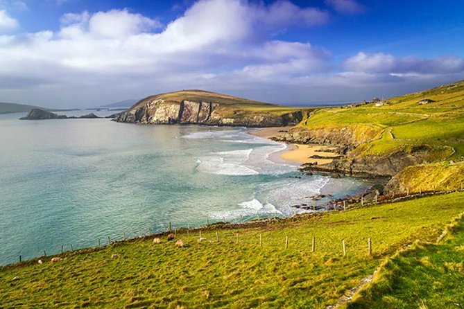 Dublin to South West 5 Day Small-Group Tour with Accommodation - Why a 16-person minibus makes sense in Ireland