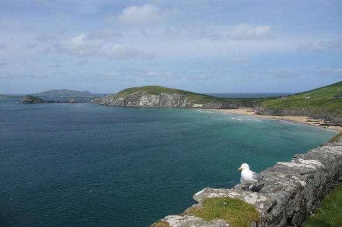 Dublin to South West 5 Day Small-Group Tour with Accommodation - Killarney evenings and the value of staying three nights