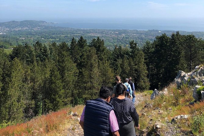 Dublin to Wicklow, Glendalough Small Group Tour with Guided Walk - Sally Gap and Lough Tay, the Guinness Lake