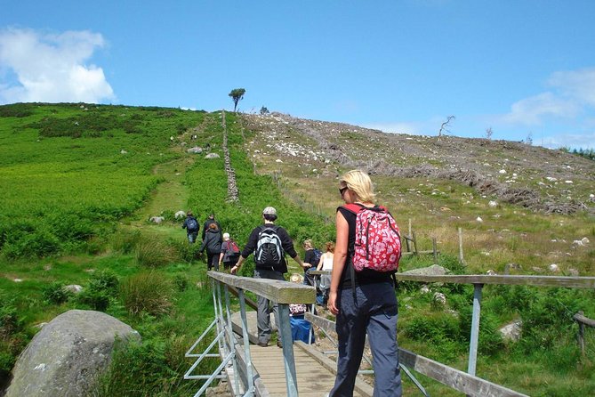 Dublin to Wicklow, Glendalough Small Group Tour with Guided Walk - Who should book this Wicklow day trip