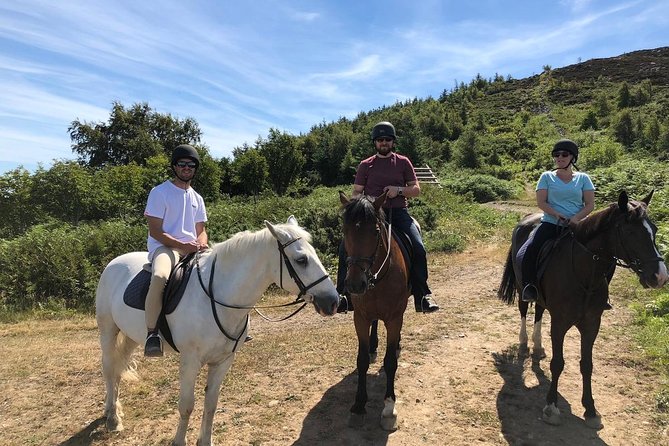Dublin to Wicklow, Glendalough Small Group Tour with Horse Riding - Why this Wicklow day trip works