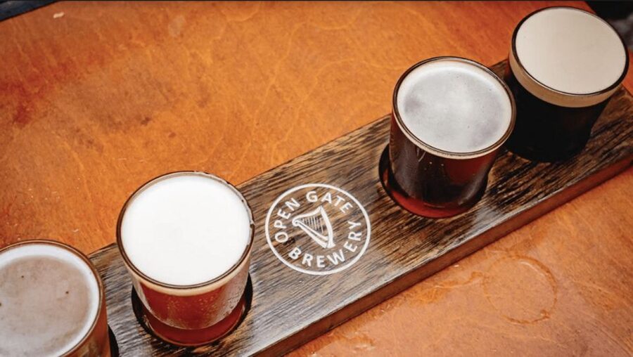 Dublin: Traditional Pubs Walking Tour with Local Guide - Drinks explained without turning the night into a lecture