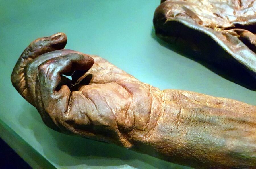 Dublin: Treasures of Ireland Museums Private Tour - The National Museum of Ireland and its ancient treasures