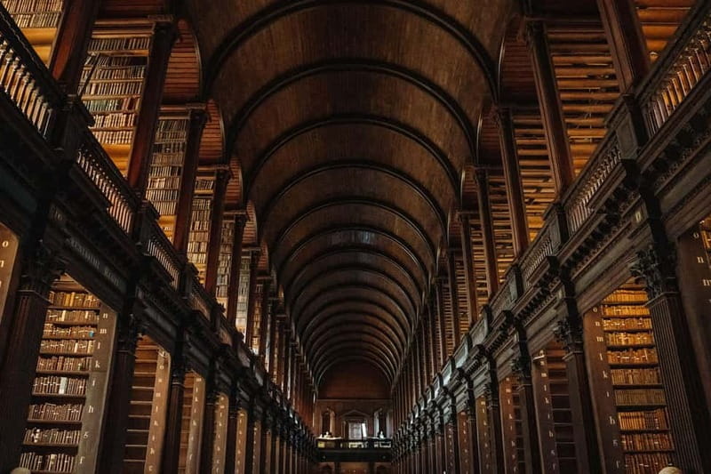 Dublin: Trinity College, Castle, Guinness and Whiskey Tour - Price, pace, and overall value at $169