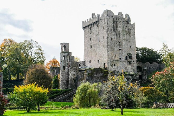 Easy Access Blarney Stone and Castle Gardens Tour - Key points at a glance