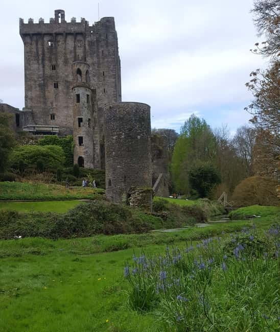 Easy Access - The Blarney Stone & Castle Gardens Tour - Gardens that deserve your time