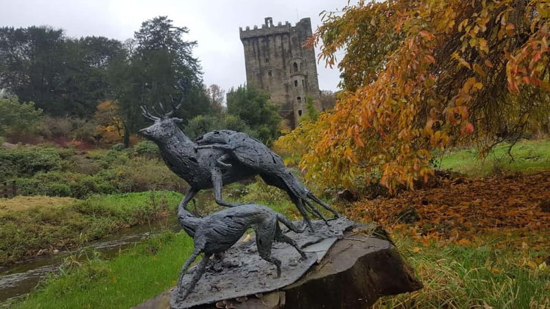 Easy Access - The Blarney Stone & Castle Gardens Tour - Blarney Woollen Mills and Irish craft shopping