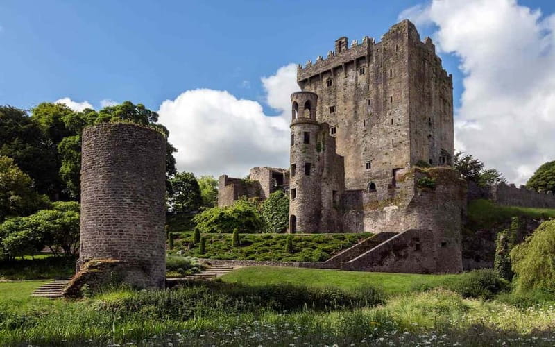 Easy Access - The Blarney Stone & Castle Gardens Tour - Walking, weather, and access