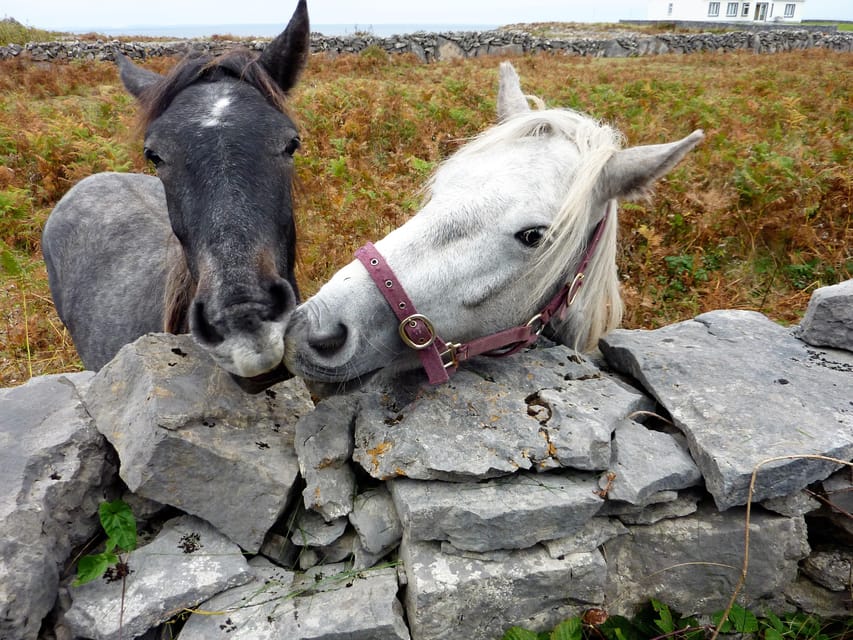 Ebiking on Inishmore island. Aran islands. Self-guided - A Full Eight Hours, With Room for Your Own Pace